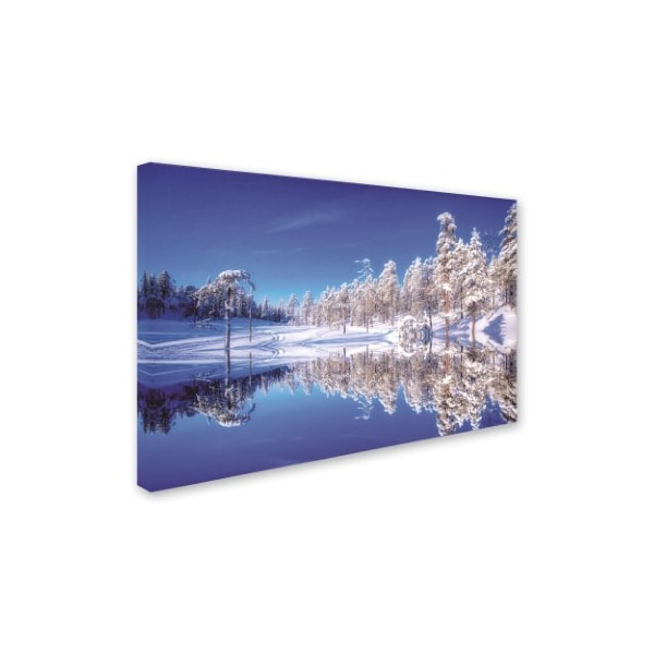 Philippe Sainte-Laudy 'Double Blue' Canvas Art,30x47